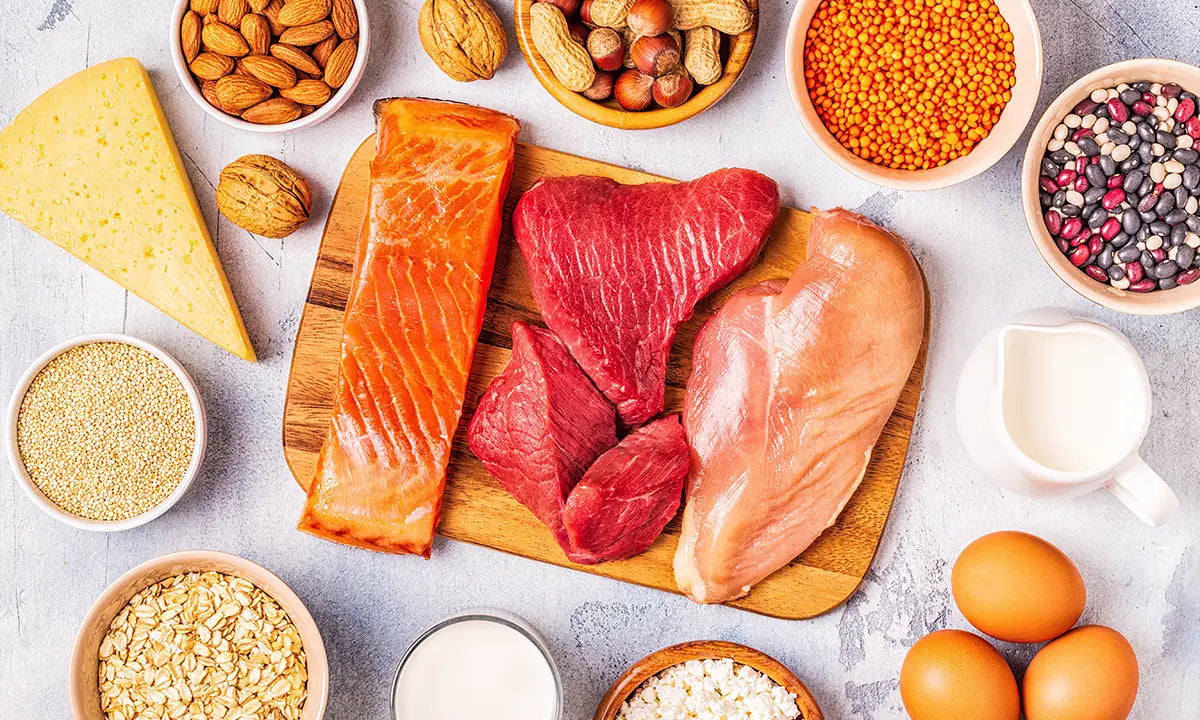 Alimentos ricos em proteína como carne, frango, salmão, ovos, queijo, leguminosas e oleaginosas.