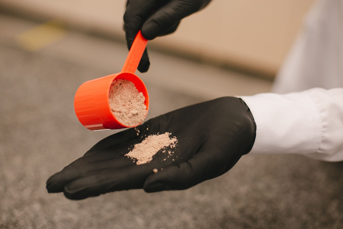Intolerância à lactose e whey: como escolher sem passar mal