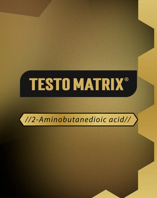 TESTO CYCLE - LOJA  | Under Labz – Loja Oficial